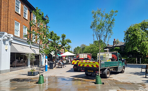 Dulwich Estate donates trees to Dulwich Square